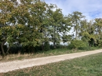 Kiskunlacháza Lakás (téglaépítésű)