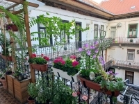 Budapest VII. kerület Lakás (téglaépítésű)