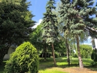 Balatonfüred Lakás (téglaépítésű)