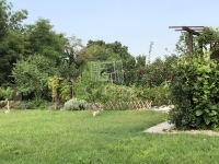 Tököl Családi ház